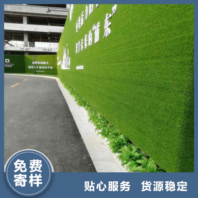 圍擋草坪制造廠家