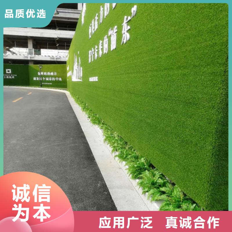 圍擋草坪人工草坪圍擋滿足您多種采購需求