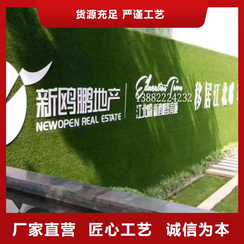 圍擋草坪認(rèn)準(zhǔn)大品牌廠家