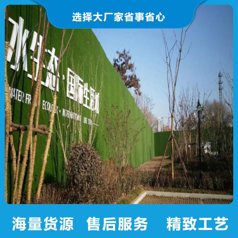 围挡草坪人造草坪围挡精致工艺