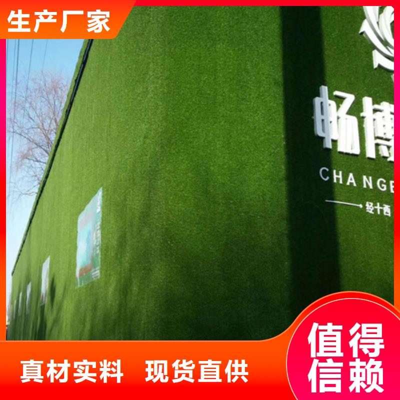 围挡草坪-人工草坪围挡品种全