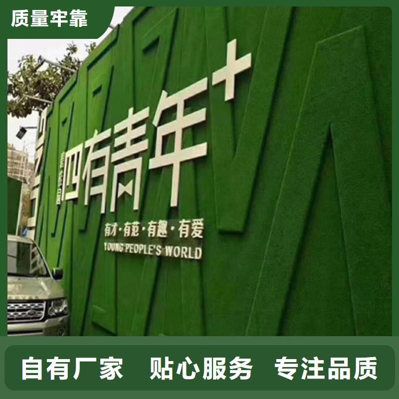 圍擋草坪人造草坪圍擋講信譽保質(zhì)量