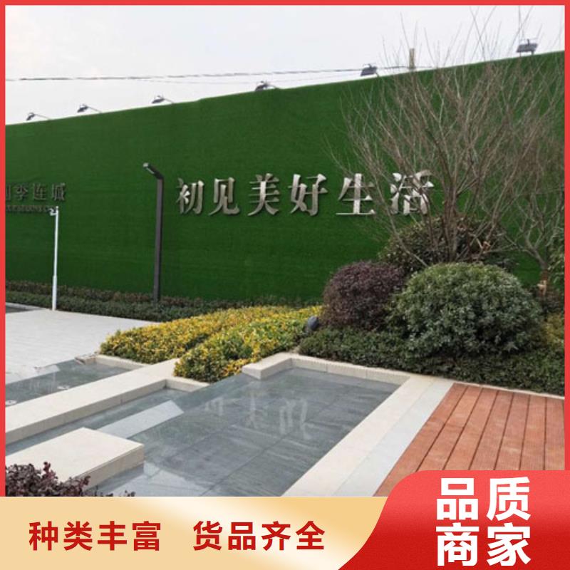 草坪圍擋人造草坪圍擋經(jīng)驗(yàn)豐富品質(zhì)可靠