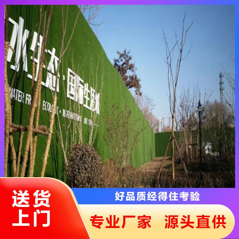 草坪圍擋人造草坪圍擋經(jīng)驗豐富品質(zhì)可靠