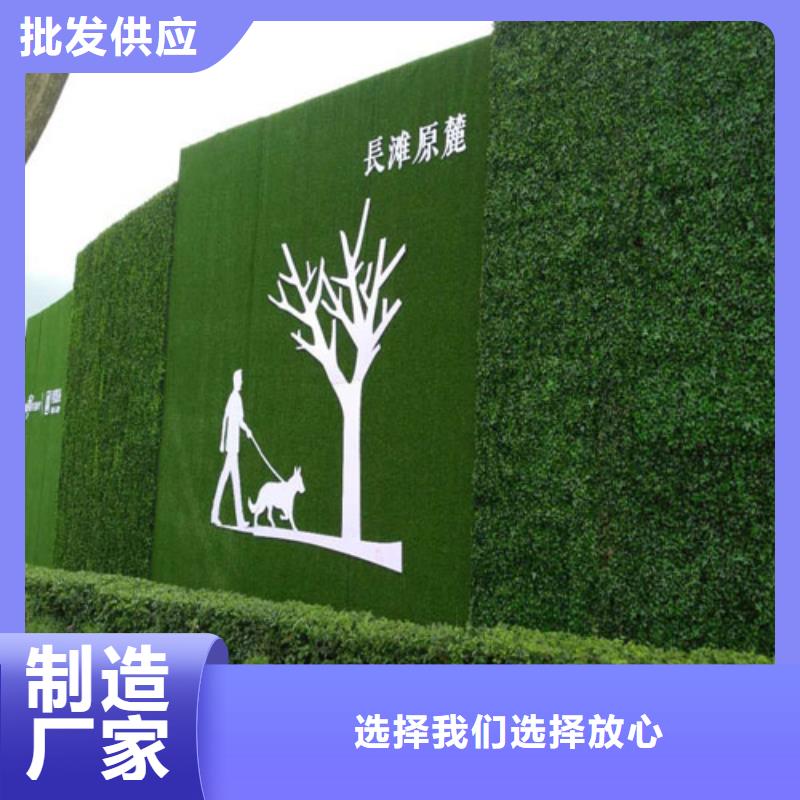草坪圍擋人造草坪圍擋經(jīng)驗(yàn)豐富品質(zhì)可靠