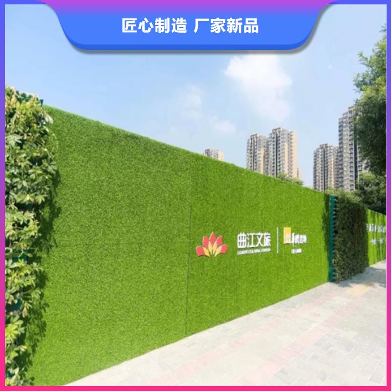 草坪圍擋圍擋草圍擋草坪貨真價(jià)實(shí)