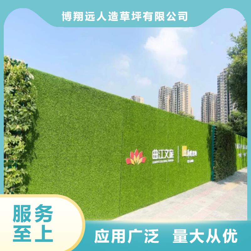 草坪圍擋人造草坪圍擋經(jīng)驗(yàn)豐富品質(zhì)可靠