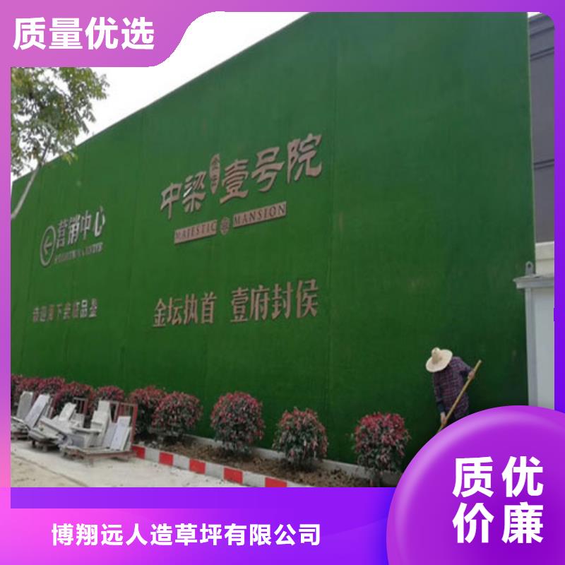 草坪圍擋人造草坪圍擋經(jīng)驗(yàn)豐富品質(zhì)可靠