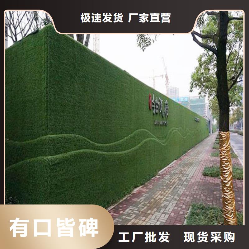 草坪圍擋人造草坪圍擋經(jīng)驗(yàn)豐富品質(zhì)可靠