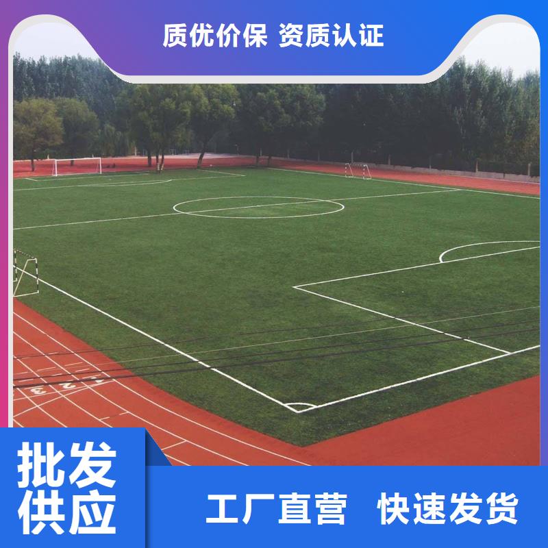 塑膠跑道,EPDM塑膠跑道顏色尺寸款式定制