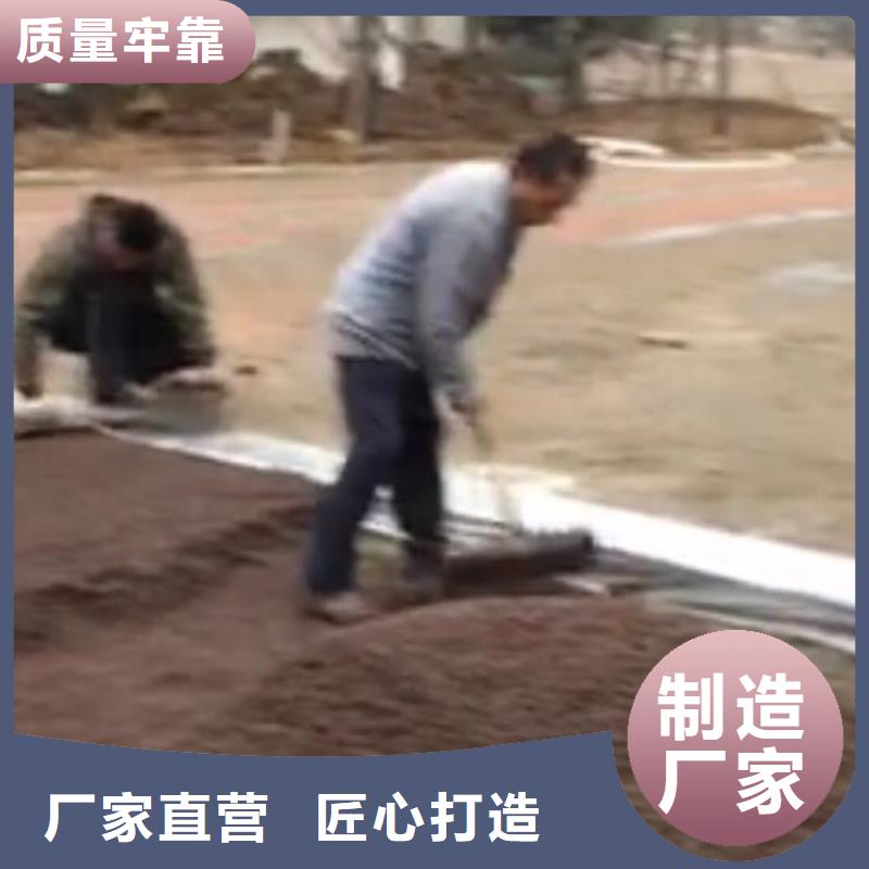 透水彩色透水混凝土定制定做