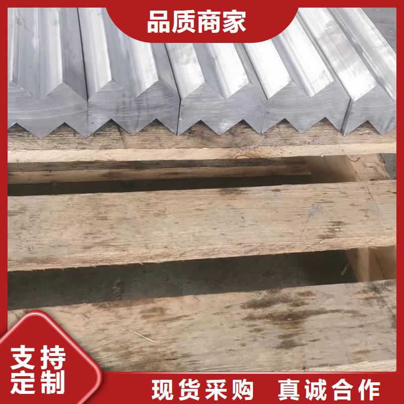 

電動推拉鉛門源頭工廠