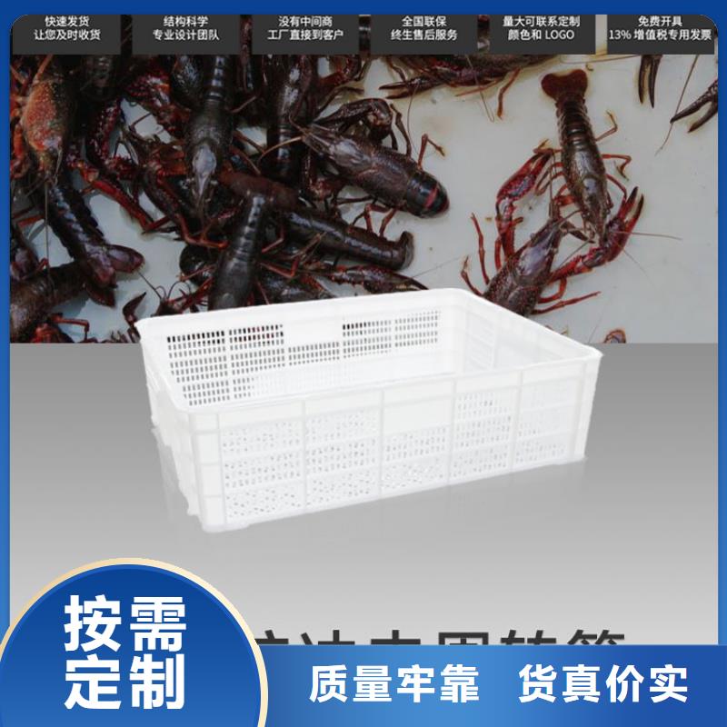 塑料筐餐廚垃圾桶高品質(zhì)現(xiàn)貨銷售