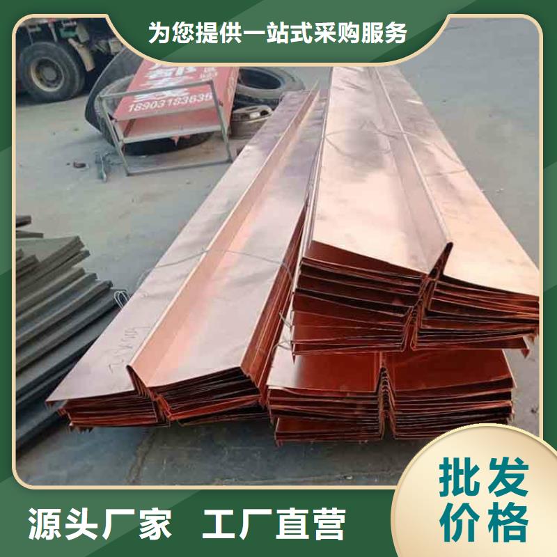 優(yōu)選：廣碩紫銅止水生產(chǎn)廠家