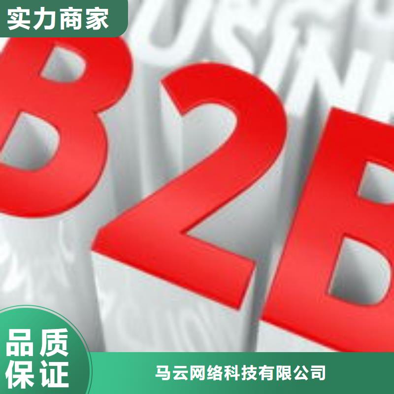 馬云網(wǎng)絡(luò)-b2b平臺推廣匠心品質(zhì)