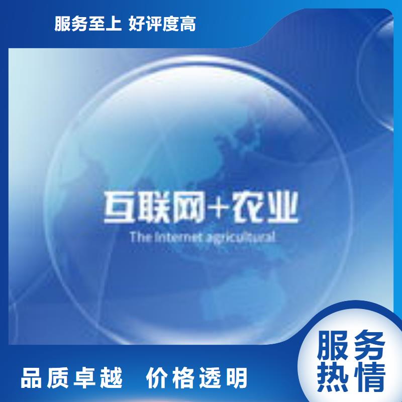 馬云網(wǎng)絡(luò)網(wǎng)絡(luò)運(yùn)營(yíng)2025公司