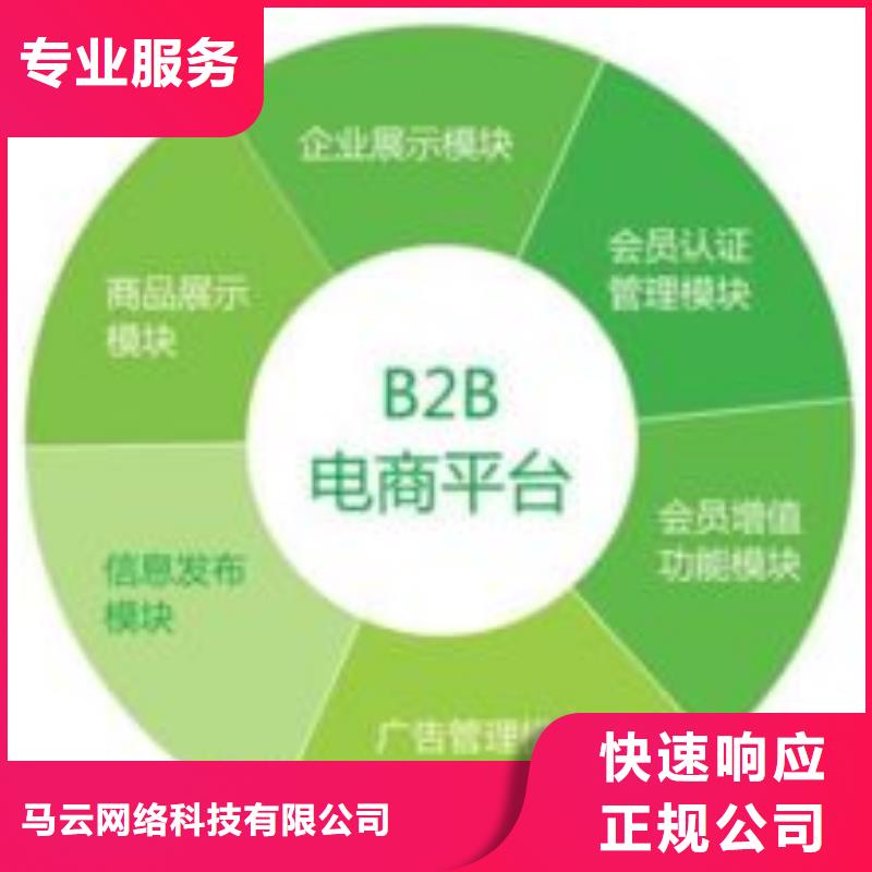 馬云網(wǎng)絡(luò)-b2b平臺(tái)推廣匠心品質(zhì)