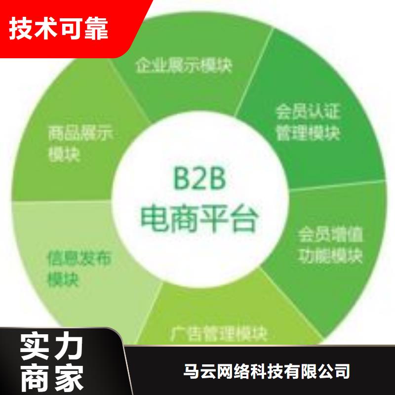 馬云網絡-b2b平臺推廣匠心品質