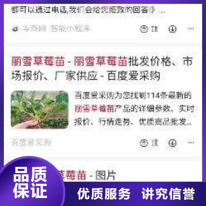 手機(jī)推廣提供定制