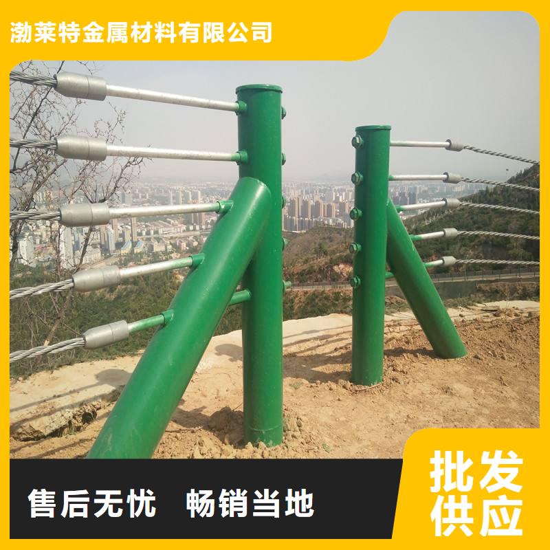 景觀護欄道路防撞護欄專注產(chǎn)品質(zhì)量與服務(wù)