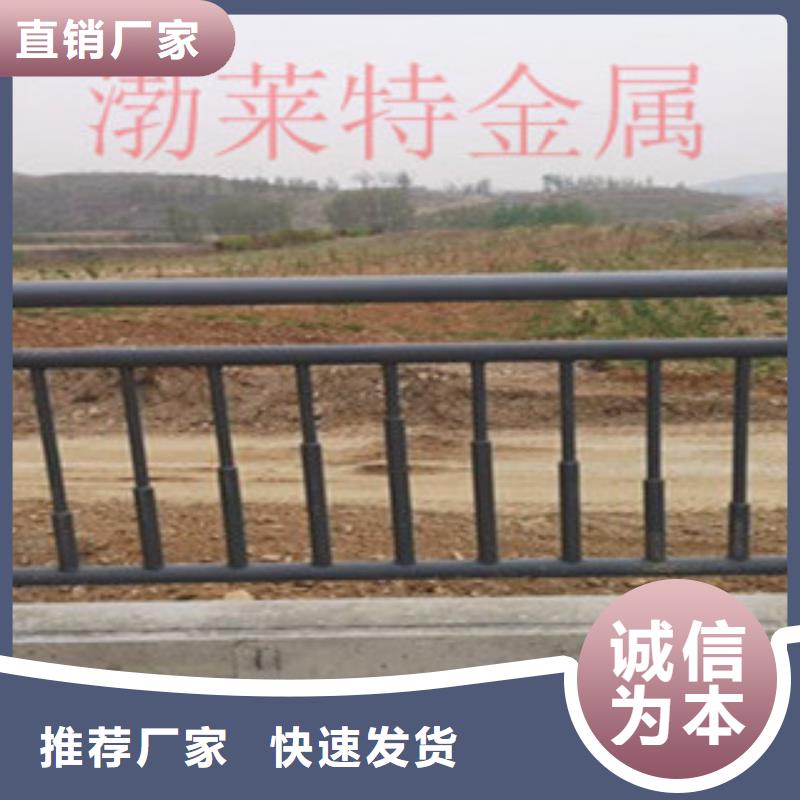 灯光护栏高速公路桥梁护栏同行低价