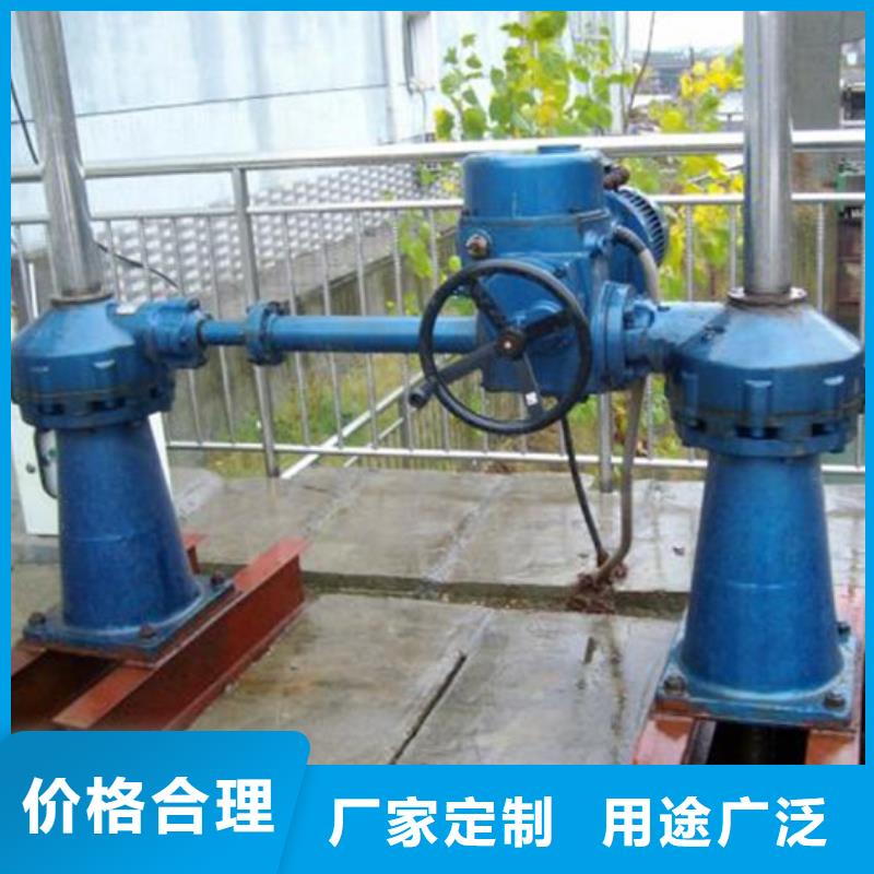 啟閉機(jī)水利翻板閘門質(zhì)量牢靠