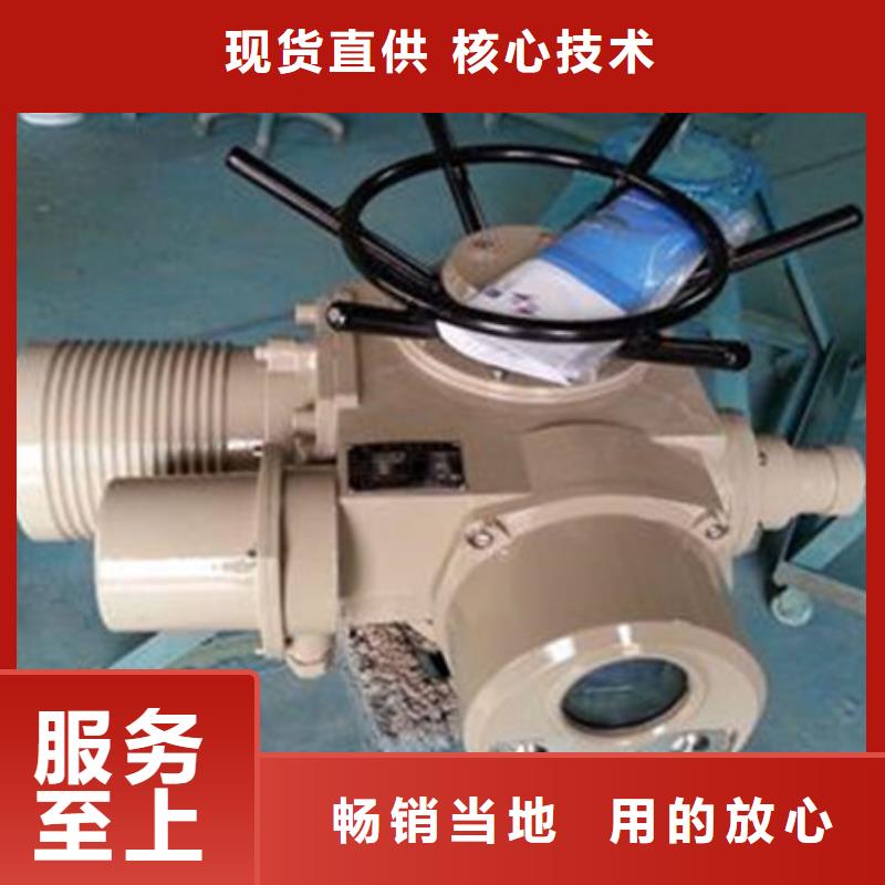 啟閉機(jī)自控翻板鋼閘門(mén)拒絕差價(jià)