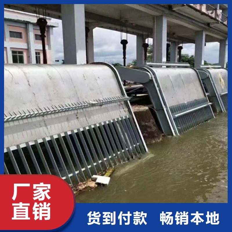 清污機鋼板閘門N年生產經驗