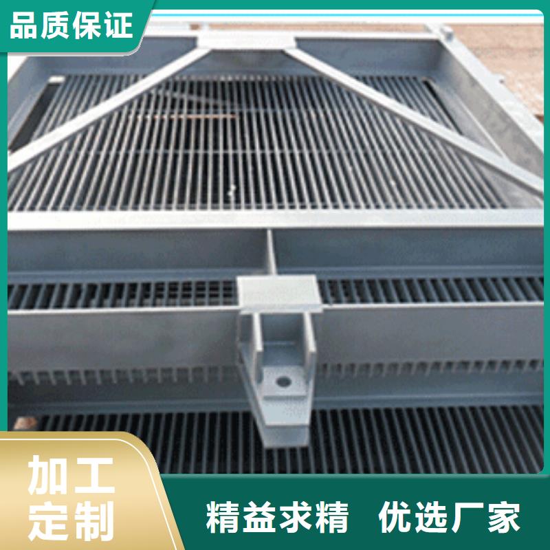 清污機(jī)啟閉機(jī)閘門品質(zhì)優(yōu)選