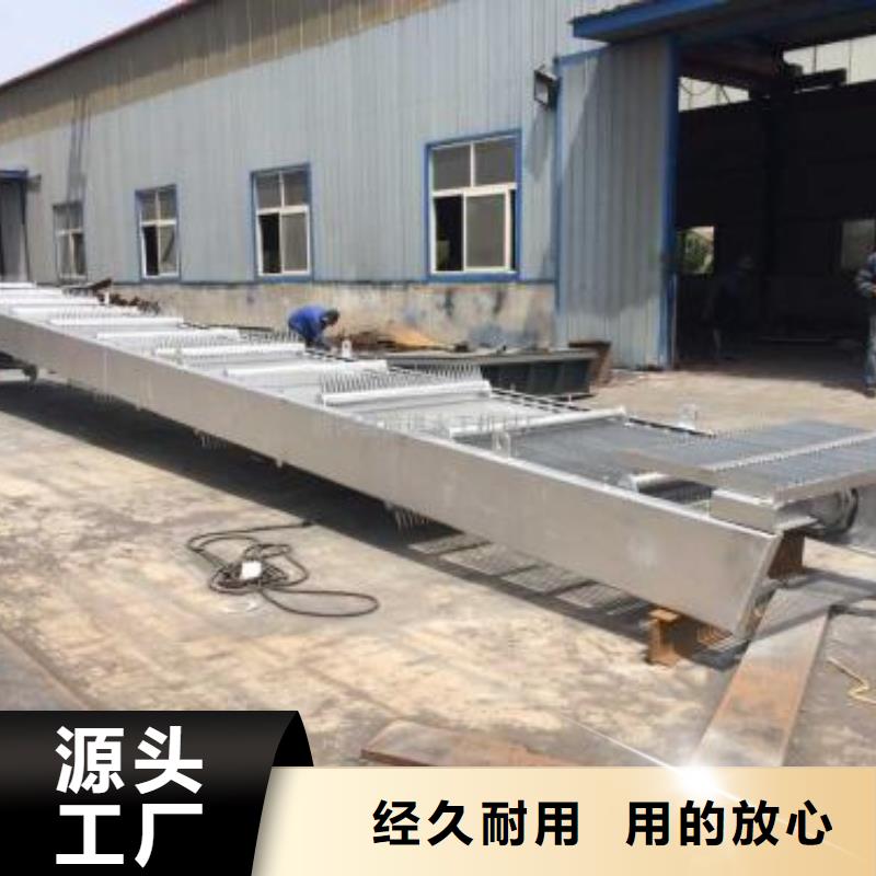 清污機(jī)-【平面鋼閘門】實(shí)拍品質(zhì)保障