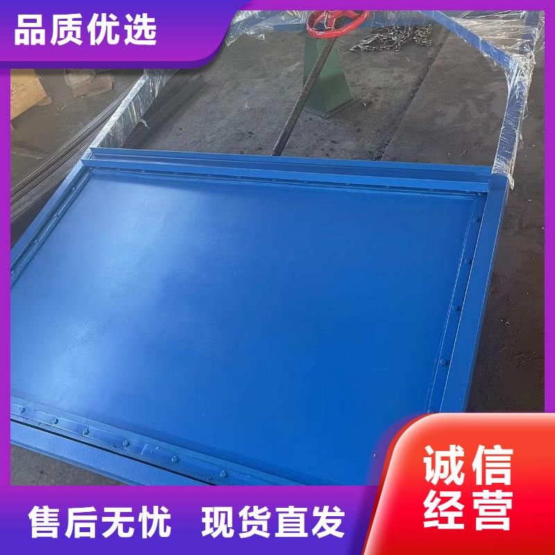 鋼閘門(mén)-平面鋼閘門(mén)廠家質(zhì)量過(guò)硬