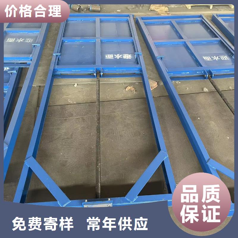 鋼閘門,露頂式鋼閘門實體誠信廠家