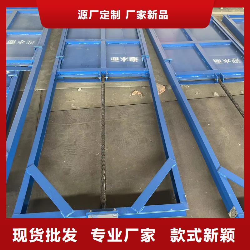 【鋼閘門_螺桿式啟閉機(jī)您身邊的廠家】