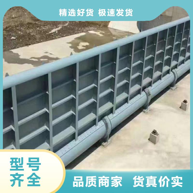 【鋼閘門】 鋼絲繩牽引清污機(jī)多種工藝