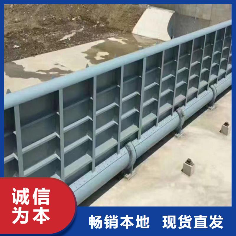 鋼閘門_清污機支持非標定制