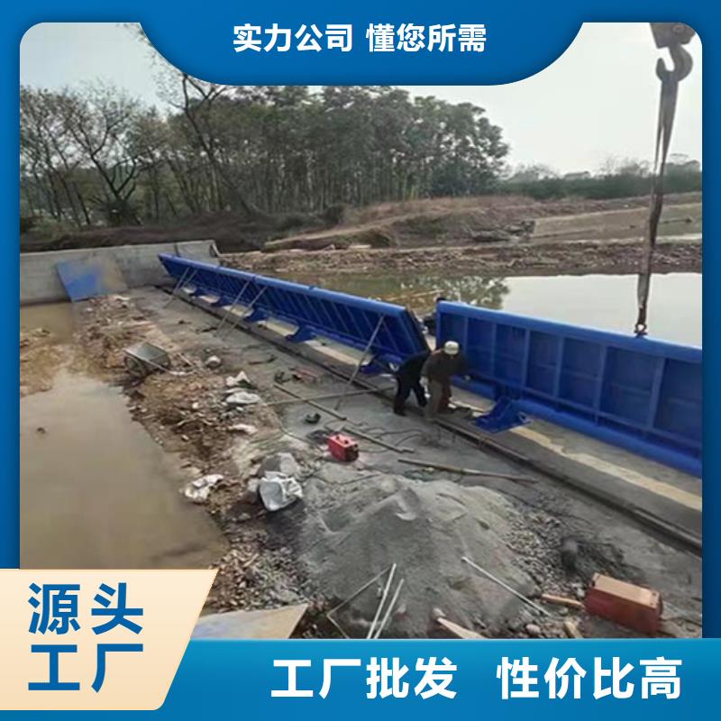鋼閘門格柵除污機(jī)專心專注專業(yè)