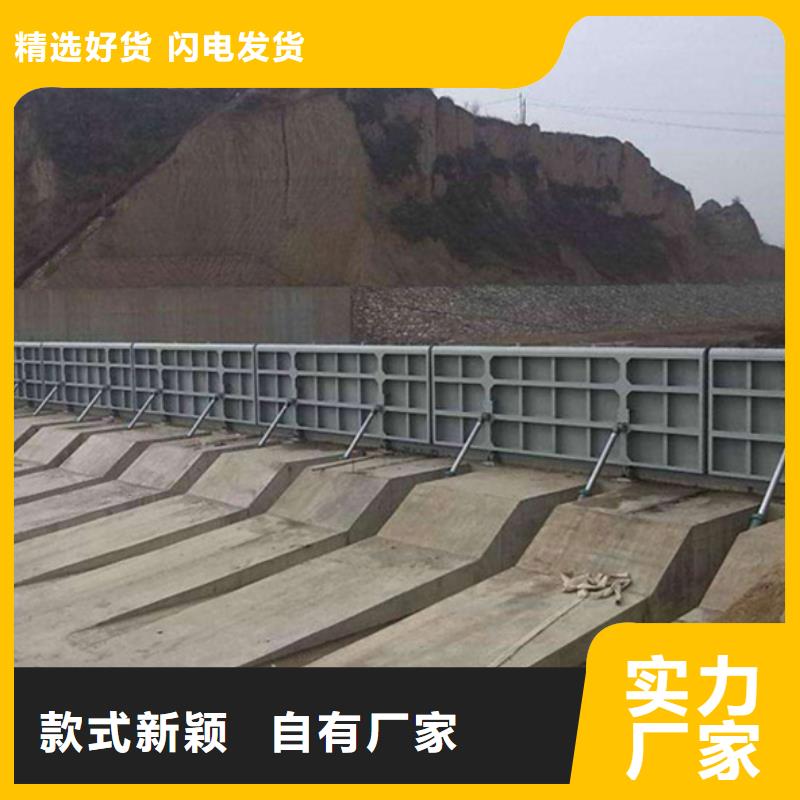閘門鋼制閘門可來電定制-質(zhì)量可靠