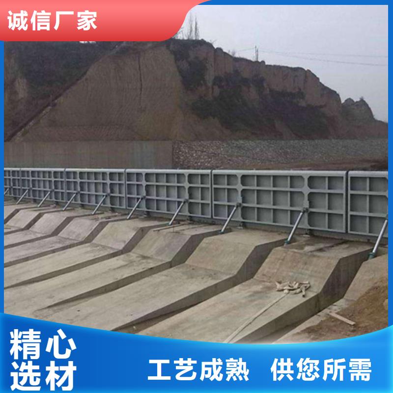 鋼閘門高品質誠信廠家