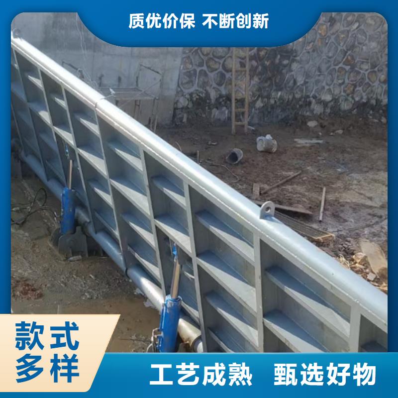 鋼閘門-啟閉機(jī)閘門好貨直供