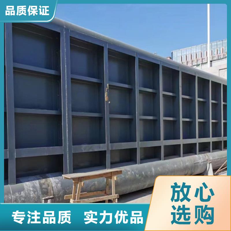 鋼閘門格柵清污機(jī)技術(shù)先進(jìn)