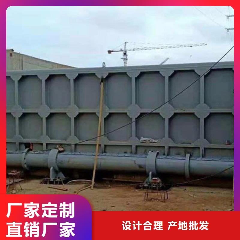 鋼閘門格柵清污機(jī)技術(shù)先進(jìn)