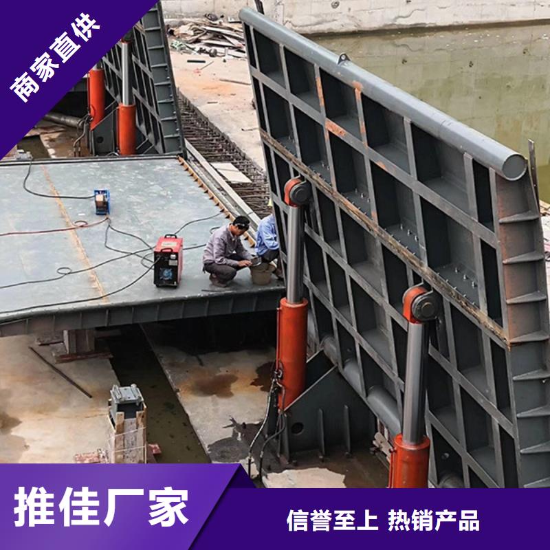 鋼板閘門  廠家值得信賴
