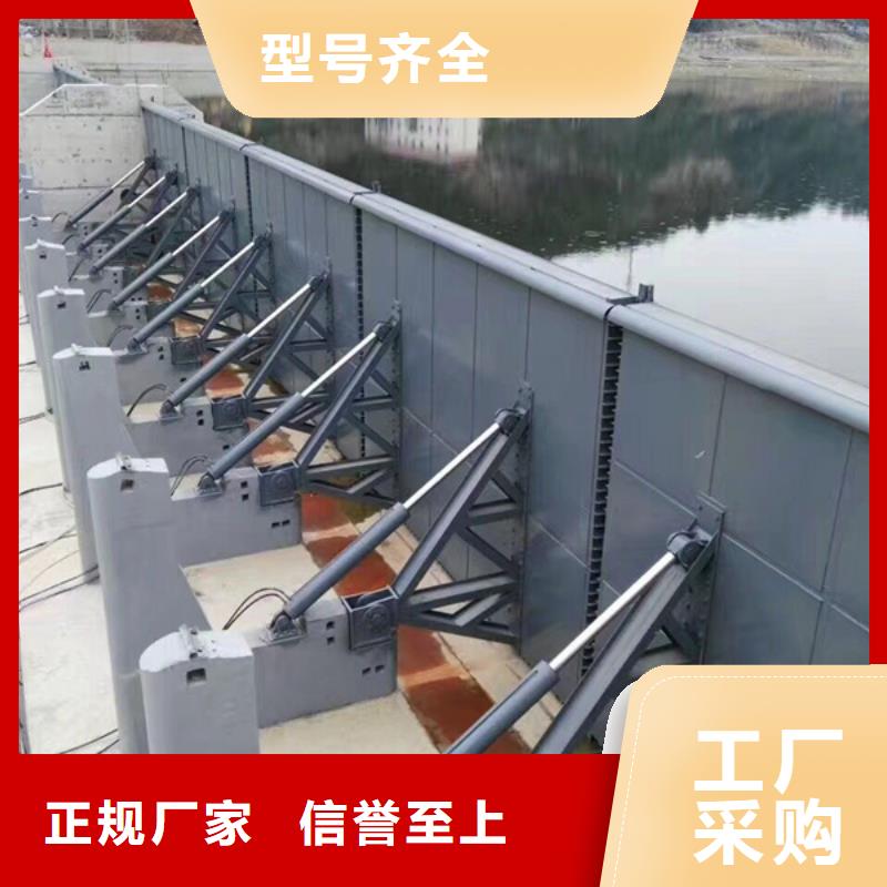 定輪鋼制閘門客戶信賴
