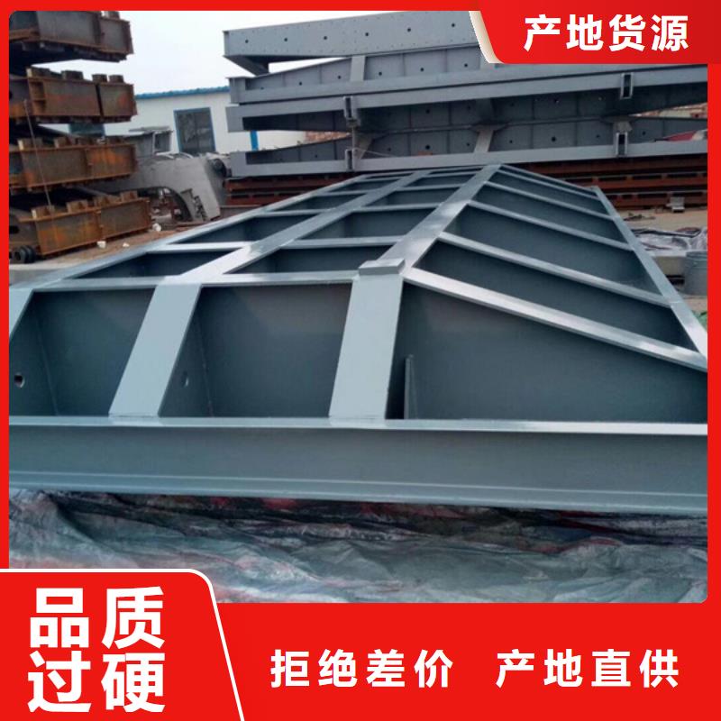 鋼閘門_清污機支持非標定制