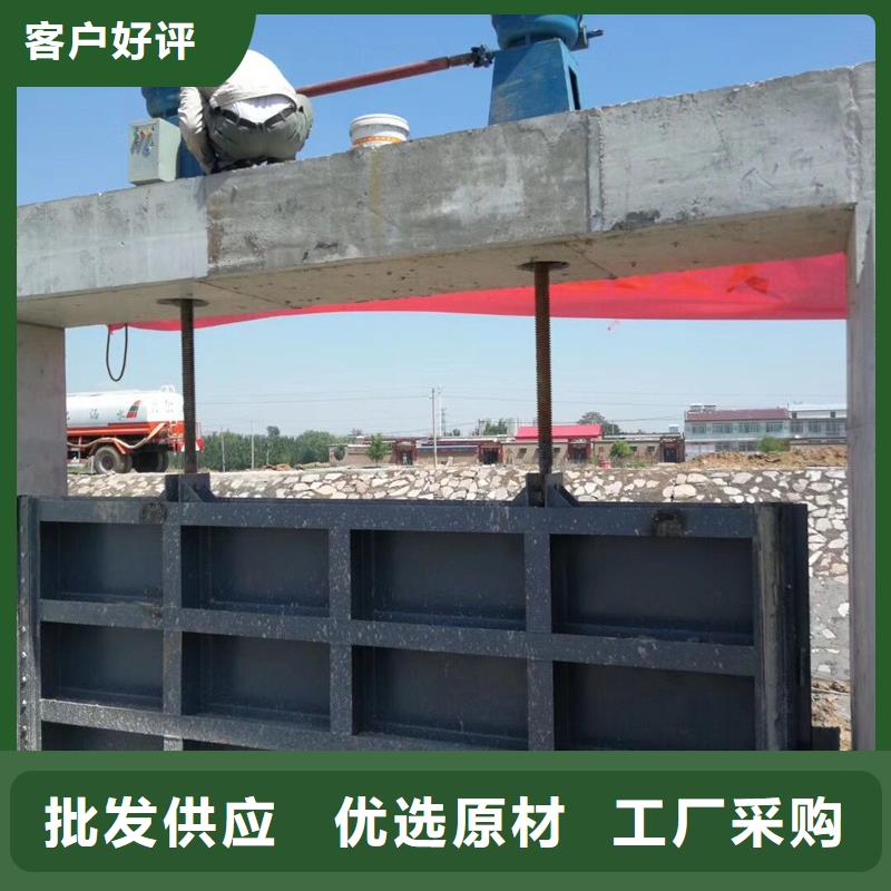 鋼閘門格柵清污機(jī)技術(shù)先進(jìn)