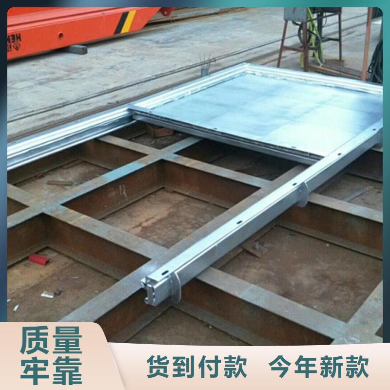 鋼閘門(mén)除污機(jī)優(yōu)選廠(chǎng)商