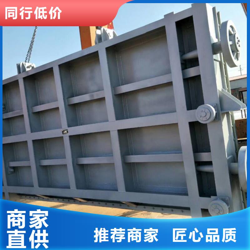 鋼閘門_清污機支持非標定制