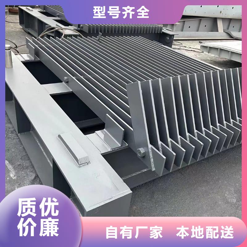 鋼閘門,液壓翻板閘門真實拍攝品質(zhì)可靠
