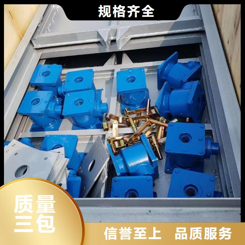 鋼閘門,露頂式鋼閘門實體誠信廠家