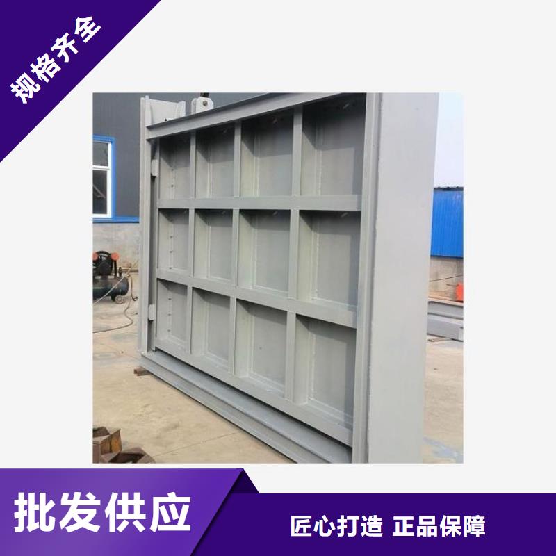 廠家主打產(chǎn)品滑輪鋼制閘門歡迎詢價